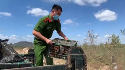 Vieo: Tiêu hủy gần 2,5 tấn hoa quả không rõ nguồn gốc xuất xứ