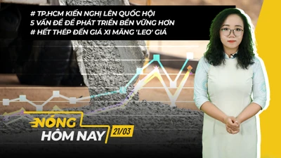 Nóng hôm nay: Hết thép đến giá xi măng 'leo' giá