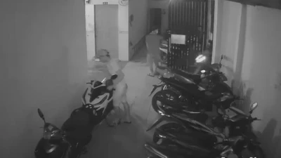 Video: Thanh niên lén đi theo người thuê trọ, đột nhập vào trong trộm xe máy