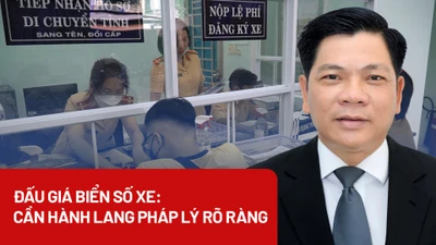 Đấu giá biển số xe: Cần hành lang pháp lý rõ ràng