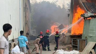 Video: Xưởng gỗ tại TP Thủ Đức bốc cháy dữ dội