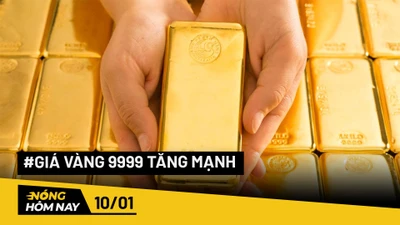 Nóng hôm nay: TP.HCM đề xuất làm cầu dây văng Phú Mỹ 2 kết nối tỉnh Đồng Nai