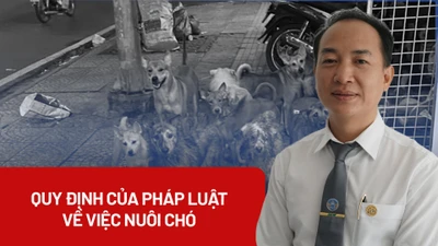 Làm thế nào để nuôi động vật không ảnh hưởng đến hàng xóm?