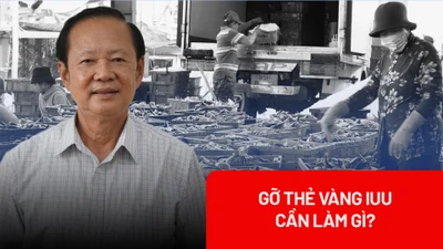 Cần làm gì để gỡ thẻ vàng IUU cho thủy sản Việt Nam?