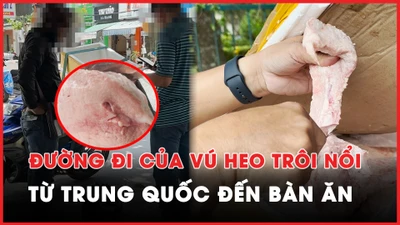 Video ĐIỀU TRA - Kỳ 3: 'Bí mật' từ các thùng xốp đựng vú heo Trung Quốc ‘lọt nắng hoá giòi’