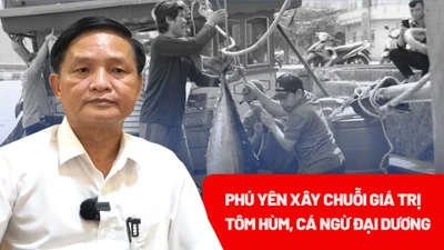 Phú Yên xây dựng chuỗi giá trị bền vững cho tôm hùm, cá ngừ đại dương