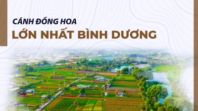 Làng hoa lớn nhất Bình Dương: Đông khách chụp ảnh, vắng khách mua