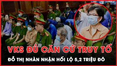 VKS đủ căn cứ truy tố bà Đỗ Thị Nhàn nhận hối lộ 5,2 triệu đô