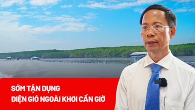 Cần sớm tận dụng điện gió ngoài khơi Cần Giờ