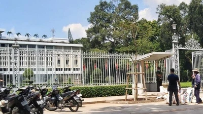 Loại cây được trồng thay thế ở Dinh Độc Lập là cây gì?