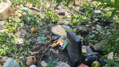 Ngán ngẩm rác bủa vây nhiều kênh ở TP.HCM