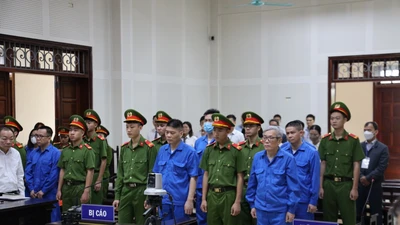 Cựu chủ tịch AIC Nguyễn Thị Thanh Nhàn bị xét xử vắng mặt tại Quảng Ninh