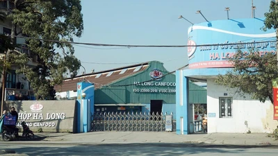 Công ty CP Đồ hộp Hạ Long thông tin 130 tấn thịt nhiễm bệnh trong kho 