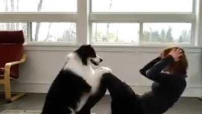 Chó tập Yoga cùng cô chủ mỗi sáng