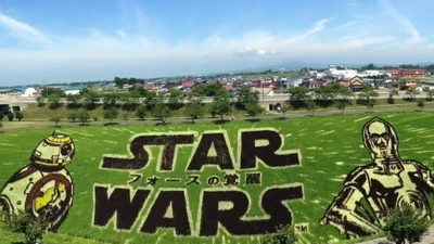 Ngắm những bức tranh đồng lúa 7 màu sống động ở Nhật 