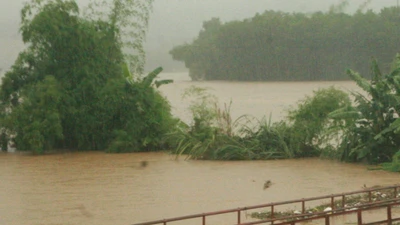 Chùm ảnh: Mưa lũ kinh hoàng ở các tỉnh miền Bắc