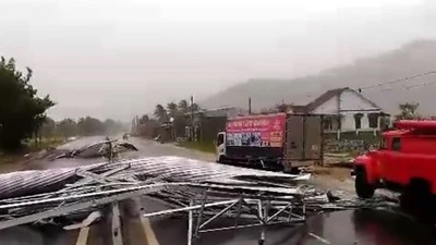 Cảnh tan hoang khi bão ở Suối Dầu