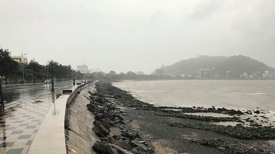 Mưa gió ở khắp nơi trước giờ bão số 9 đổ bộ