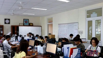 Video: Chia sẻ của sinh viên khi góp sức chống COVID-19