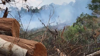 Cần điều tra tình trạng hủy hoại rừng tại Đắk Nông