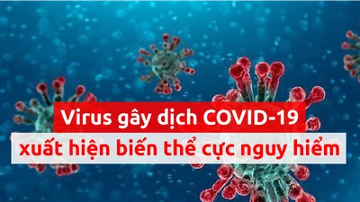 Toàn cảnh tình hình đại dịch COVID-19 ngày 6-5