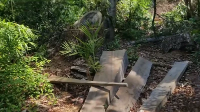 Cần xử lý nghiêm nạn phá rừng phòng hộ Đắk Đoa, Gia Lai