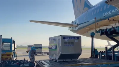 Video: Khi nào hơn 800.000 liều vaccine về TP.HCM sẽ được tổ chức tiêm?