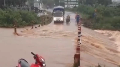 Video: Mưa lớn gây ngập úng nhiều nơi ở Gia Lai