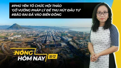 Nóng hôm nay: Hội thảo 'Gỡ vướng pháp lý để thu hút đầu tư'