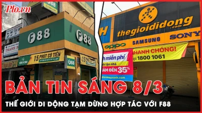 Bản tin sáng 8-3: TGDĐ tạm dừng hợp tác với F88; Chấn chỉnh tình trạng bán 'hoa tiền' ngày lễ