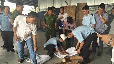 Khởi tố hình sự vụ vận chuyển 900 kg ngà voi châu Phi 