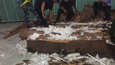 Hơn 600 kg ngà voi giấu tinh vi trong ruột các khối gỗ 