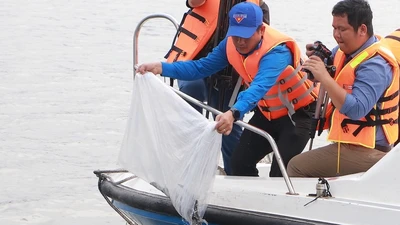 Thả hơn 390.000 con tôm càng xanh, cá lăng giống xuống sông Sài Gòn