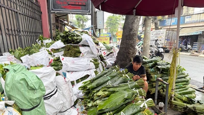 Tiểu thương bán lá dong 'ngồi trên đống lửa', giảm giá vẫn lo mất Tết