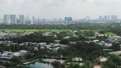 Kiến nghị xử lý cá nhân, tập thể sai phạm về đất đai ở TP.HCM 