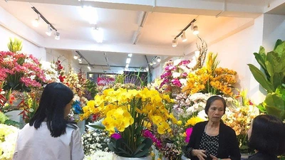 Cận cảnh: Hoa vải giá chục triệu đồng 'mê hoặc' khách 