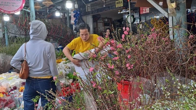 Chợ hoa Tết nhộn nhịp nhờ 'trend' cắm tuyết mai, cành mận rừng