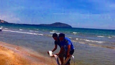 Cá hố ông khổng lồ dạt vào biển Mũi Né