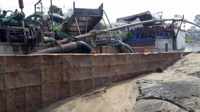 Chủ tịch Bình Thuận yêu cầu làm rõ việc bảo kê cát lậu