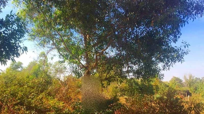 Hiện trường phát hiện người đàn ông tử vong. Ảnh: BPN