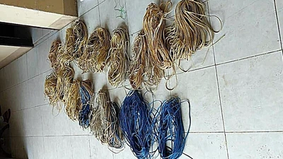 Trộm dây điện của cha vợ mang đi bán thì bị bắt