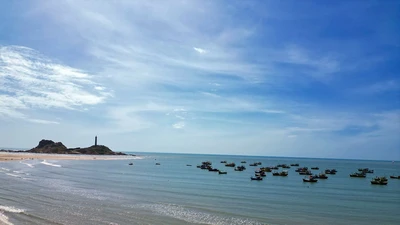 Công bố kết quả phân loại 124 xã, phường, đặc khu tại Lâm Đồng