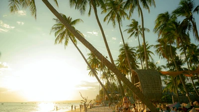 Du lịch Lâm Đồng bứt tốc dịp Giỗ Tổ Hùng Vương, đón 350.000 lượt khách