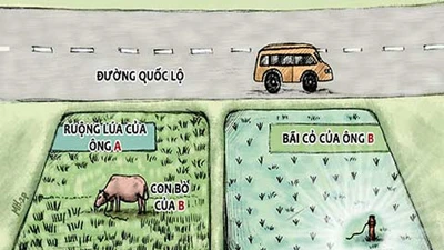 À Ra Thế kỳ 8: Tông phải bò, ai bồi thường?