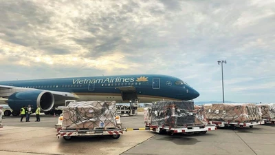  190.000 bộ kit xét nghiệm COVID-19 Đức viện trợ đã về đến Việt Nam