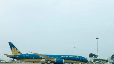 Đình chỉ nhiệm vụ 4 tiếp viên nghi xách ma túy về Việt Nam