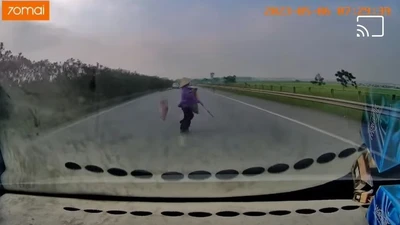 Bà cụ băng qua cao tốc gây tai nạn: Lỗi thuộc về ai?