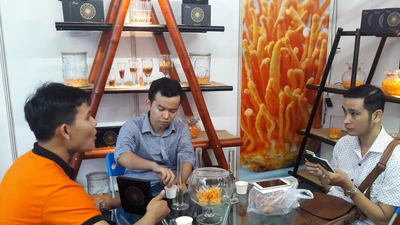 Cam Hà Giang, ếch Đồng Tháp tìm đường vào TP.HCM