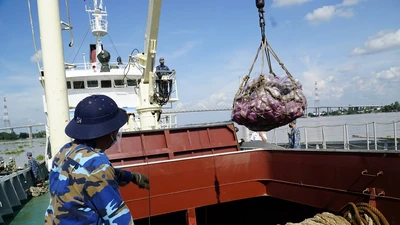 Tặng 27 tấn nông sản, 10.000 khẩu trang cho tuyến đầu chống dịch