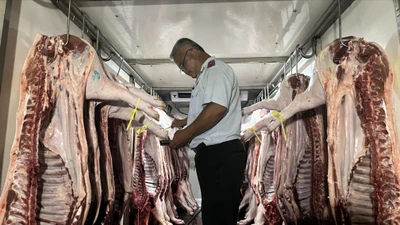 TP.HCM trình phương án thí điểm Sàn Giao dịch thịt heo